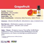 NOW FOODS GRAPEFRUIT OIL 100% Pure 30 ml essential oil, graphofu essential oil