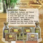 Sandalharvest Core core wood oil Fragrant sandalwood oil 100% authentic aromatic oil, no perfume, not diluted, no color 12 ml.