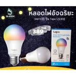 Tapo L530E smart bulbs