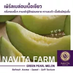 Natal Melon Farm Happy Melon set, 6 per set, soft, juicy, refreshing, perfect taste, good for health, fragrant Japanese style, authentic, minimal, minimal