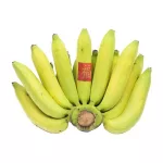 FRESH LINE กล้วยหอม （把/หวี）