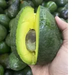 Avocado 1, 2-3, AAA grade, ready to be imported from Vietnam.
