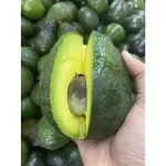 Imported avocado for sale in kilograms