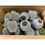 Imported avocado