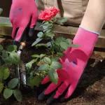 Natural rubber coating gloves, Withgarden®1