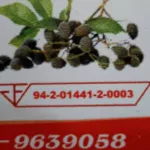 Luki Luk Yi, freshly sculpture without authentic Pattani seeds !! Sweet and sour