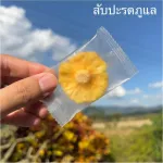1kg dried pineapple factory