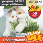 ของแท้ถูกสุด! พร้อมส่ง Vetreska ชุดหญ้าแมวพร้อมปลูก ช่วยให้น้องแมวสุขภาพดี
