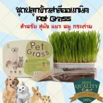 Food, cats, cats, cats, cats, cats, waking, premium grade wheat, Pet grass cat