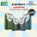 Canagan cat food, Kanagan, Cat Cat, Little Cat Rice, Free Rena, and Salmon Size 375 grams /1.5 kg