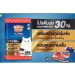 อาหารแมวบิงโก HI-PRO ถุงสีน้ำเงิน ขนาด 1 KG โปรตีน 30 %