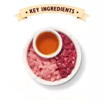 Lily's Kitchen Smooth Pate 85g, Turkey Recipe, Duck band, wet food, premium x petsister