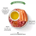 Lily's Kitchen Shredded Fillet 70g Tuna formula, salmon, premium grade cat x petsister