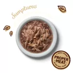 Lily's Kitchen Shredded Fillet 70g Tuna formula, salmon, premium grade cat x petsister