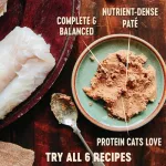 Wellness Core Pate 85g, chicken and turkey formula Premium grade cat food x petsister