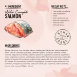 The Honest Kitchen Cate Grain-Free 156G Salmon Fish Cod Holisttix cat food x Petsister