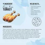 The Honest Kitchen Cate Grain-Free 156G Turkey Food Food, Holistics, X Petsister
