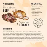 The Honest Kitchen Cate Grain-Free 156g Formula Cow and Chicken Holisttix cat food x Petsister