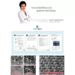 Dust -proof pillows by Mitex, size 20x30 inches, Dust Mite & Allergy Control Pillow Cover