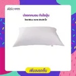 Dust -proof pillows by Mitex, size 20x30 inches, Dust Mite & Allergy Control Pillow Cover