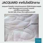 Veladi Natural Rubber Pillow 99.9% Sleep at the afternoon, sleep, sleep, sleep well without chemicals. Causing no allergies And not harmful to the brain