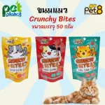 Pet8 Crunchy Bites Pets Pets Pets Class Cat Food Cats Cats Cats and Kittens