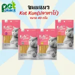 Cat Katkun Cat Katcoon, Cat Food, Chicken, Fish Line for Cats, KAT KUN, size 40 grams