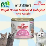 อาหารแมวกระป๋อง Royal Canin Mother&Babycat can โรยัล คานิน เบบี้เคท อาหารเปียก อาหารแมว ขนมแมว ลูกแมว แม่แมว