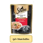 70 กรัม อาหารเปียกแมว Sheba ชีบา อาหารแมว อาสำหรับ แมว ทุกช่วงวัย อาหารเปียก สำหรับแมว