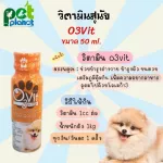 วิตามินสุนัข O3vit 50ml โอทรีวิท วิตามินบำรุง อาหารสุนัข ขนมสุนัข วิตามิน สำหรับ สุนัข ให้อ้วน แข็งแรง มีไลซีน เสริมภูมิ