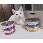 Wellness Signature Selects Cat Wet Food 150g, wet food, premium grade kitten