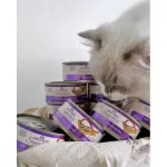Wellness Signature Selects Cat Wet Food 150g, wet food, premium grade kitten
