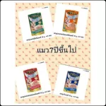 Nekko, wet cat food, Negko, 70 grams, 1 dozen 12 sachets. Seller Own Fleet, the shop is limited to 4 dozen orders.