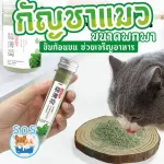 Catnip Cat Cat, organic tube Helps to excrete hair Helping the appetite burning system