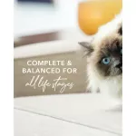 Feline Natural Grain-Free Canned Cat Food 170g Cow Food Recipe, Premium Cat Food, X Petsister