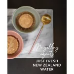 Feline Natural Grain-Free Canned Cat Food 170g Cow Food Recipe, Premium Cat Food, X Petsister