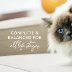 Feline Natural Grain-Free Canned Cat Food 170g Cow and Cod Fish Premium grade cat food x petsister