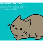 Dr. Elsey's Cleanprotein Canned Cat Food 85g, a premium grade cat chicken recipe x petsister