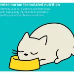 Dr. Elsey's Cleanprotein Canned Cat Food 85g, Salmon formula, premium grade cat food x petsister