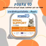 Treas Degrees forza10 Nutraceutic ACTIWET REPPORT WET CAT CAT CAT FOOD 100G X Petsister
