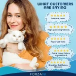 Treas Degrees forza10 Nutraceutic ACTIWET REPPORT WET CAT CAT CAT FOOD 100G X Petsister
