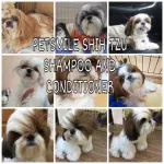 เพ็ทสไมล์ แชมพูสุนัขผสมคอนดิชันเนอร์ สำหรับชิสุ ขนาด 280 ml x 1 ขวด PETSMILE SHIH TZU SHAMPOO AND CONDITIONER 280 ml x 1 bottle