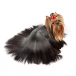 เพ็ทสไมล์ แชมพูแก้คัน ผิวแห้ง ขนหยาบกระด้างในสุนัข ขนาด 500 ml x 1 ขวด PETSMILE ANTI-ITCH SHAMPOO AND CONDITIONER FOR DOG 500 ml x 1 bottle