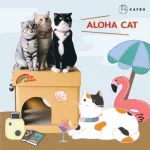 KAFBO CUBE ALOHA CAT Sticker กล่องบ้านแมว สติ๊กเกอร์ลายแมว3สี