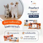 ทิชชู่เปียกทำความสะอาดสำหรับสัตว์เลี้ยง สูตรแอนตี้แบคทีเรีย Pawfect Organic Anti-Bacterial Pet Wipes