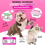 Mixneral Waterless From Shampoo 200 ml. โฟมอาบน้ำแห้งสัตว์เลี้ยงแมว โฟมอาบน้ำแห้งหมา โฟมอาบน้ำแห้งกระต่าย ปลอดภัย กำจัดกลิ่นสัตว์เลี้ยง