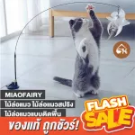 The cheapest genuine! Ready to deliver Miaofairy wooden cat lures a spring cat The cat is lured on the floor.