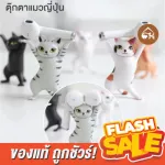 Cheapest! Ready to deliver Japanese cat dolls, comedy, cat's eyes, holding items, decorations, collectibles