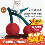 Ready to deliver! VETRESKA CHERRY 3 in 1, a mattress, nail and climbing cherry balls