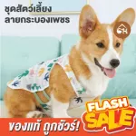 Cheapest! Ready to send a cactus pattern set For pets Pet clothes, thin fabric, comfortable to wear, suitable for summer